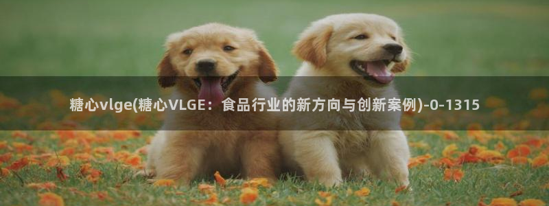 糖心精品一区