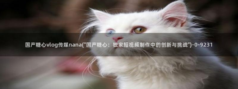 糖心tx