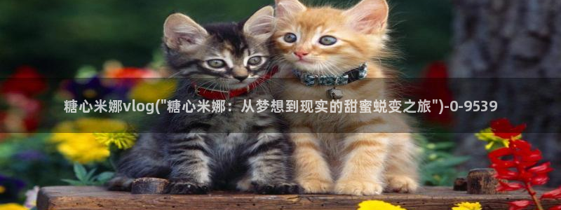 糖心volgapp