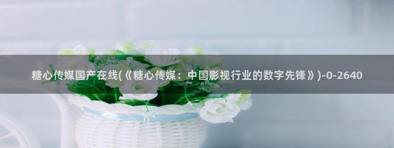 糖心vlgo哪个博主最火