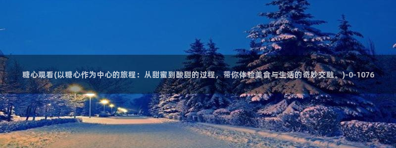 心糖vlog